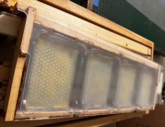 Follower Sheets (Pair)