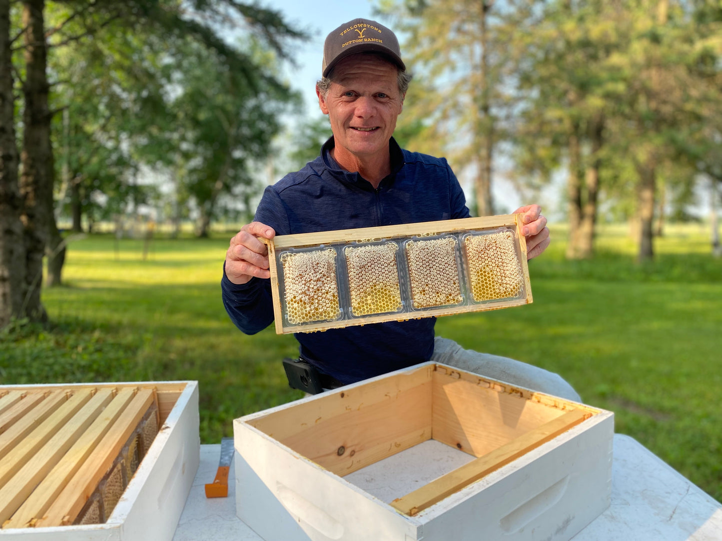 Untouched Raw Comb Honey - 6.5oz