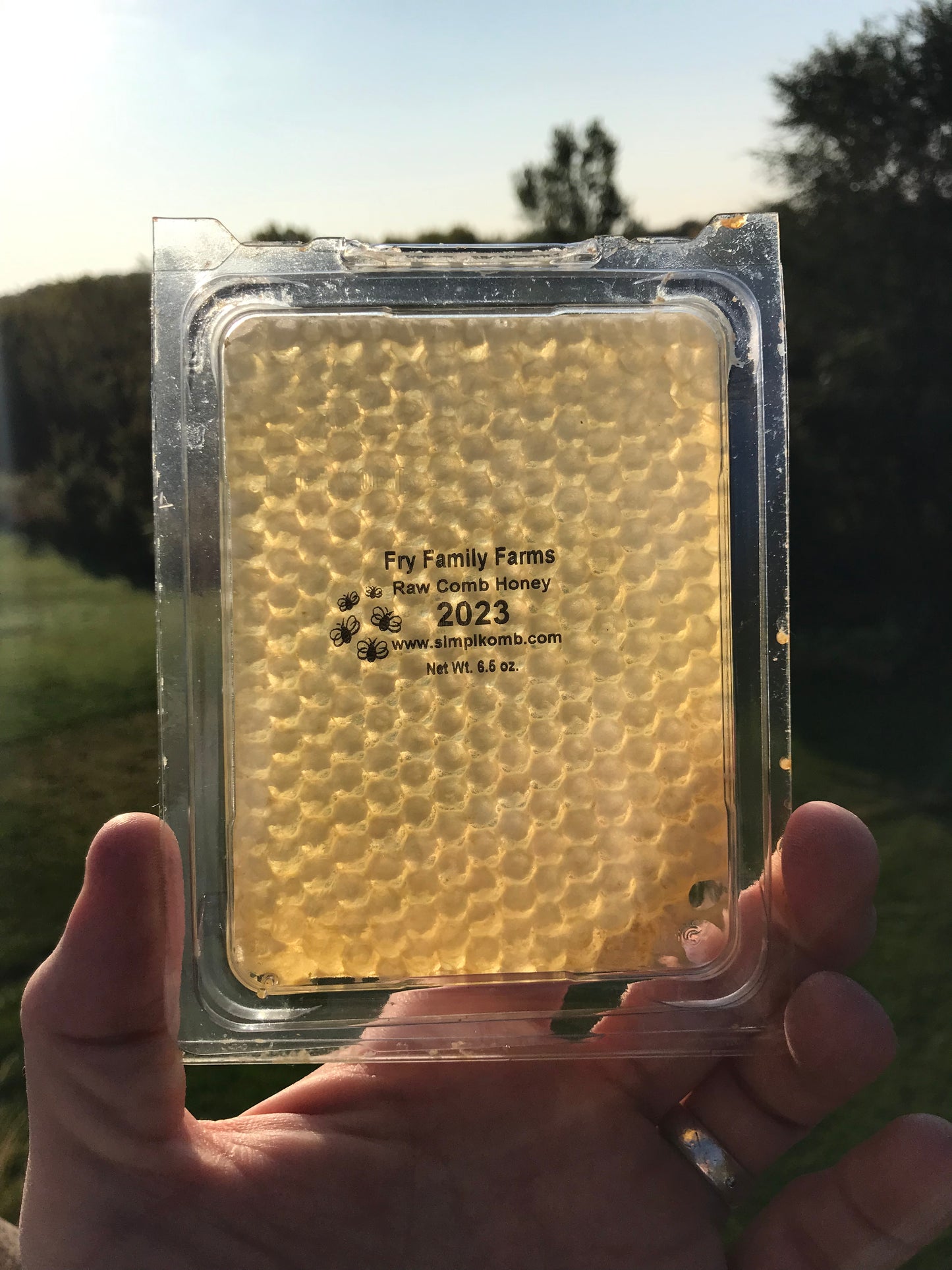 Untouched Raw Comb Honey - 6.5oz