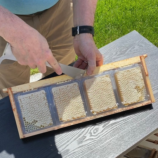 Tips & Tricks for a Successful Comb Honey Harvest