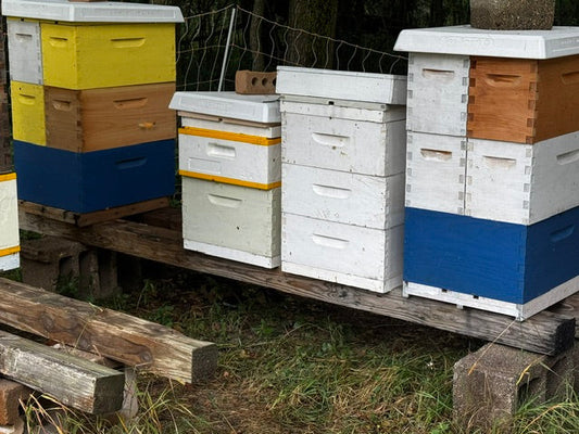 How We're Pulling Off a Mess-Free Honey Harvest