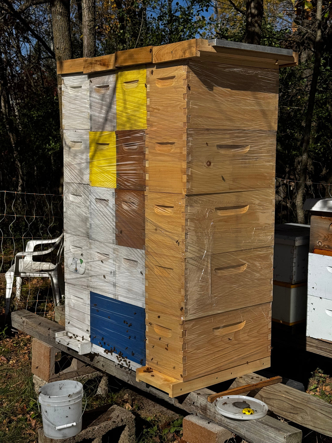 Tucking in the Bees for the Winter Ahead