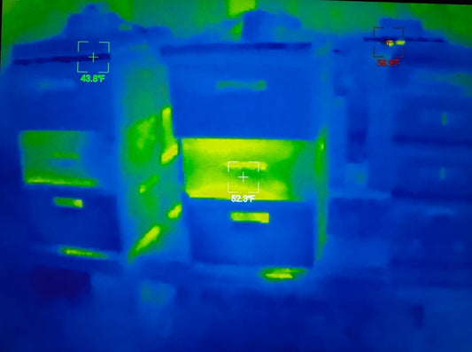 Improving Our Apiary Conditions with Thermographs